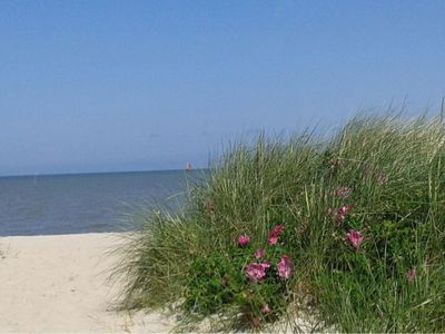 Dünen und Strand