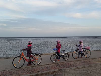 Fahrradfahren macht hier  allen Spaß!