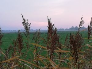 Blick vom Garten über die Felder