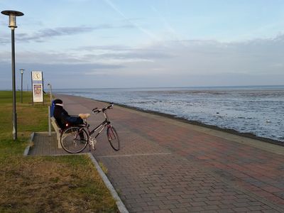 Wunderbare Fahrradwege - direkt am Meer