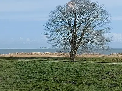 Meerblick