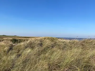 Ferienwohnung für 4 Personen (40 m²) in Horumersiel 10/10