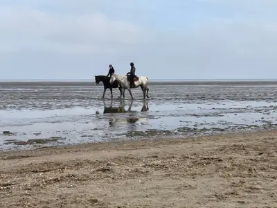 Ferienwohnung für 2 Personen (55 m²) in Horumersiel 9/9