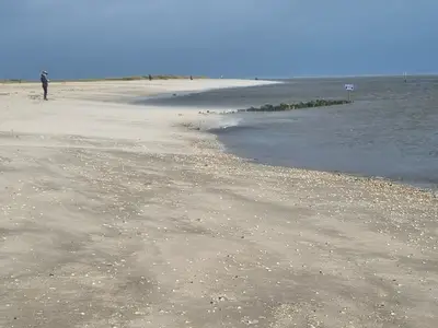 Ferienwohnung für 5 Personen (75 m²) in Horumersiel 9/10