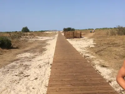 Ferienwohnung für 3 Personen (40 m²) in Horumersiel 9/10