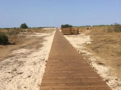 Ferienwohnung für 5 Personen (75 m²) in Horumersiel 9/10