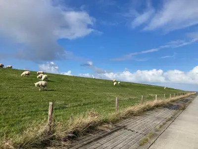 Ferienwohnung für 2 Personen (55 m²) in Horumersiel 9/10