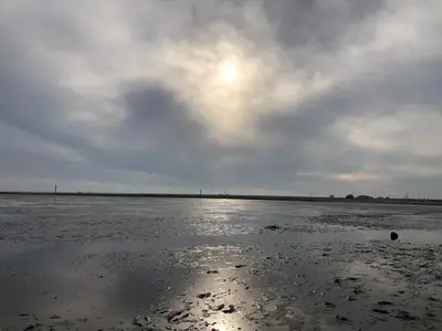 Ferienwohnung für 4 Personen (70 m²) in Horumersiel 10/10