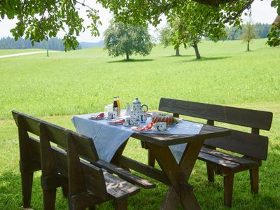 Picknick unter dem Nussbaum