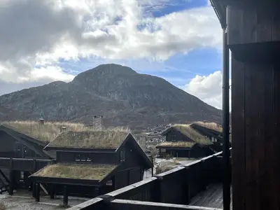 view-from-room