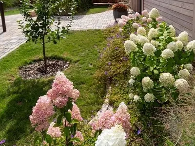 Ferienwohnung für 2 Personen (34 m²) in Hoyerswerda 7/10