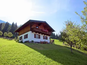 Ferienwohnung für 7 Personen (60 m²) in Hüttau