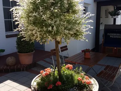 Ferienwohnung für 2 Personen (42 m²) in Hüsby 9/9