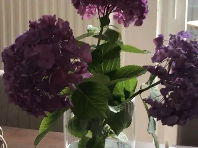 14E5EDB9-49D2-41B2-A70D-FD052C0E7432