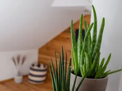 Ferienwohnung für 2 Personen (42 m²) in Husum 8/8