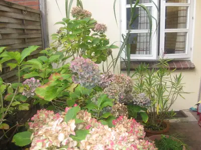 Ferienwohnung für 2 Personen (25 m²) in Husum 8/10