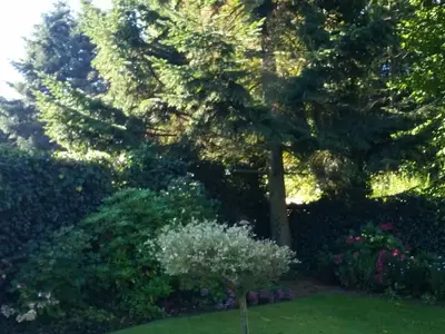 Ferienwohnung für 5 Personen (90 m²) in Husum 3/10