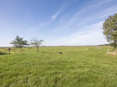 Ferienwohnung für 3 Personen (35 m²) in Husum 7/7