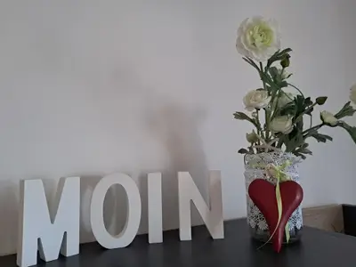 MOIN MOIN