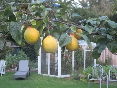 Ferienwohnung für 3 Personen (39 m²) in Husum 1/10