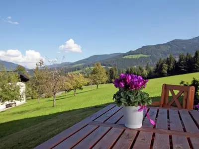 TerraceBalcony