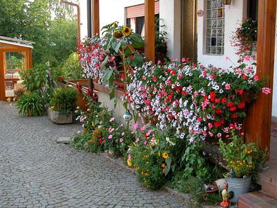 Die Blumen am Winklerhof