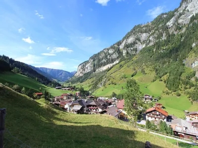 ViewSummer