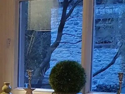 Ferienwohnung für 4 Personen (69 m²) in Huy (Harz) 9/10