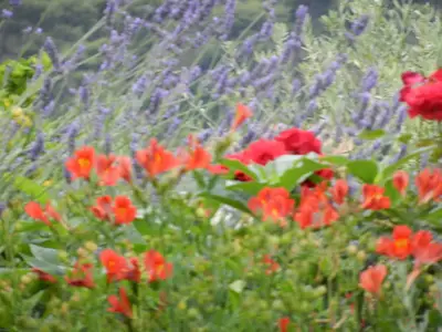 Ferienwohnung für 2 Personen (28 m²) in Hvar 3/10