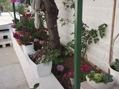 Ferienwohnung für 2 Personen (35 m²) in Hvar 10/10