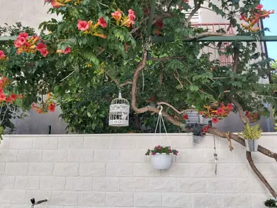 Ferienwohnung für 2 Personen (35 m²) in Hvar 8/10