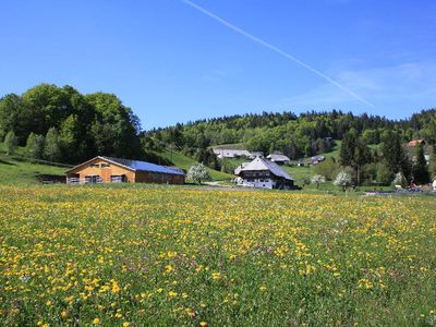 Ferienwohnung für 6 Personen (100 m²) in Ibach 2/10