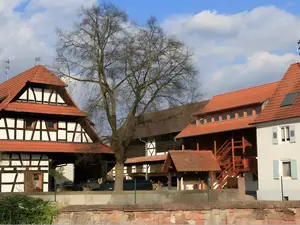 Ferienwohnung für 5 Personen (65 m²) in Ichenheim