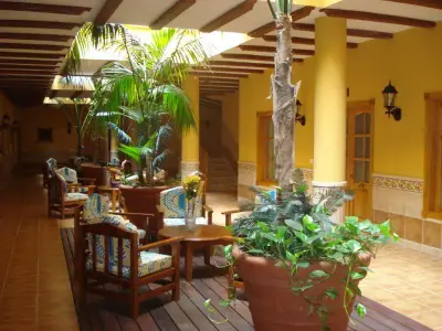 Innenhof mit Palmen und Internet beim Estrella del Norte Apartments