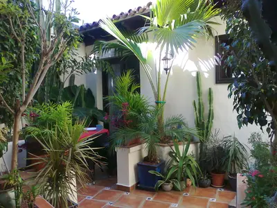 Ferienwohnung für 2 Personen (45 m²) in Icod de los Vinos 2/10