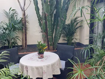 Ferienwohnung für 2 Personen (45 m²) in Icod de los Vinos 8/10