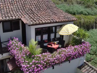 Ferienwohnung für 2 Personen (50 m²) in Icod de los Vinos 10/10