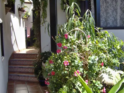 Ferienwohnung für 2 Personen (50 m²) in Icod de los Vinos 10/10