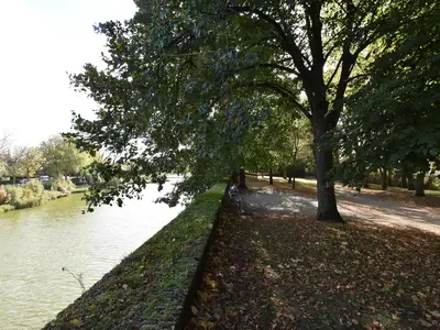 AreaSummer1KM