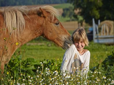 Glückliche Pferde - Glückliche Menschen