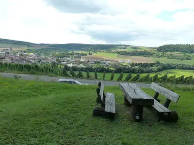 Weinanbau Taubertal
