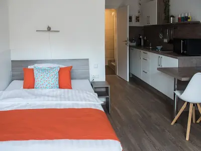 Ferienwohnung für 2 Personen (25 m²) in Igersheim 1/8