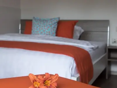 Ferienwohnung für 2 Personen (25 m²) in Igersheim 2/8