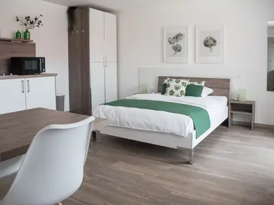 Ferienwohnung für 2 Personen (27 m²) in Igersheim 2/8