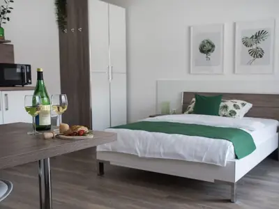 Ferienwohnung für 2 Personen (27 m²) in Igersheim 4/7