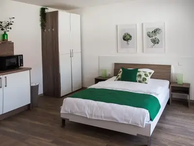 Ferienwohnung für 2 Personen (27 m²) in Igersheim 5/7