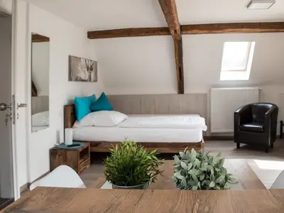 Ferienwohnung für 3 Personen (38 m²) in Igersheim 5/7