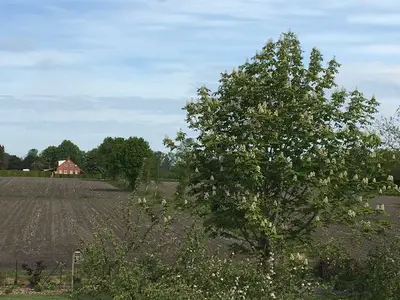 Ferienwohnung für 2 Personen (35 m²) in Ihlow 5/10