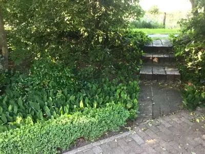 Ferienwohnung für 5 Personen (40 m²) in Ihlow 9/10