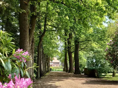 Ferienwohnung für 3 Personen (55 m²) in Ihlow 2/10